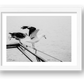 494 — framed