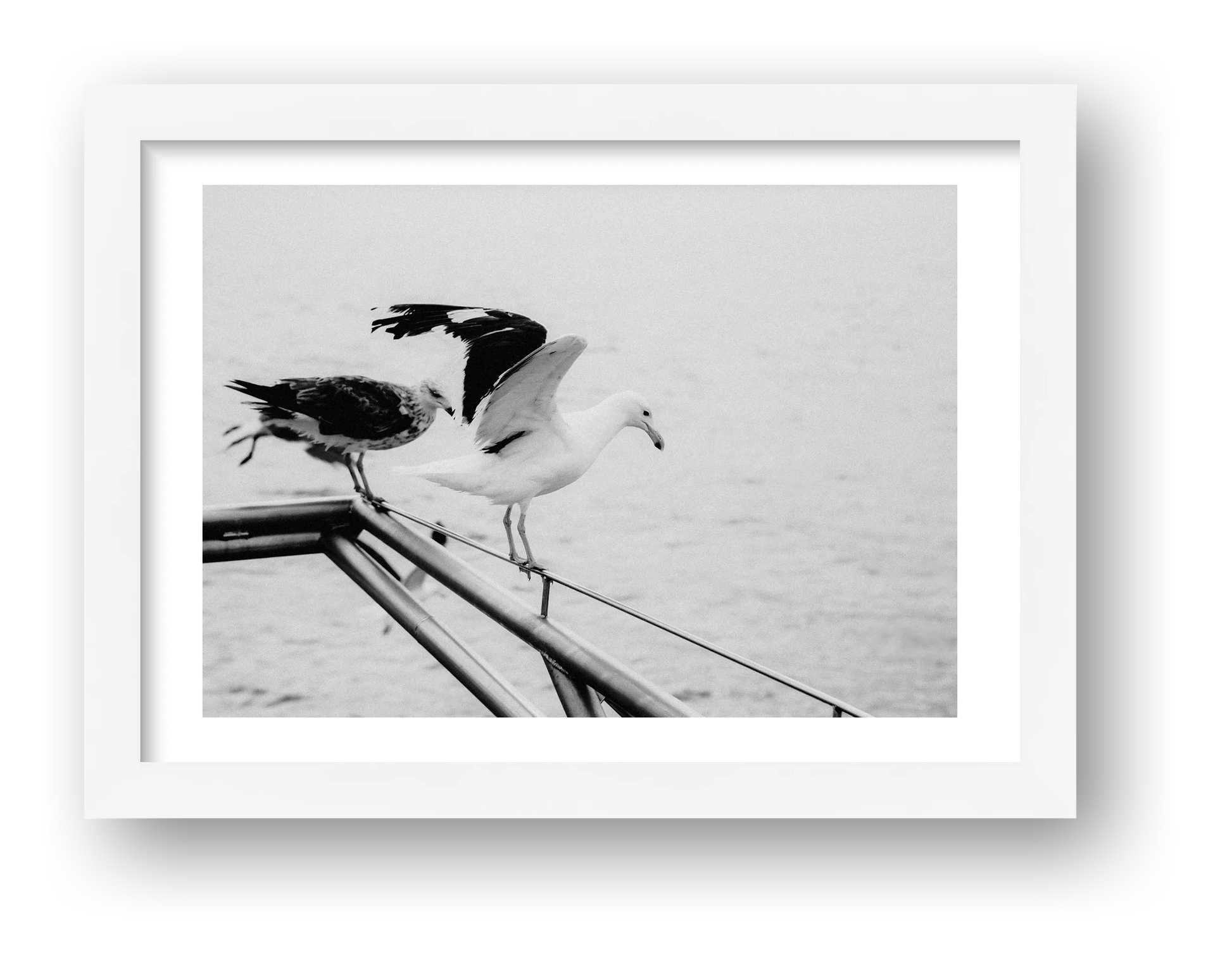 494 — framed