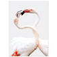 7dbd0181-77e2-45f6-abb9-ce5610498b4e