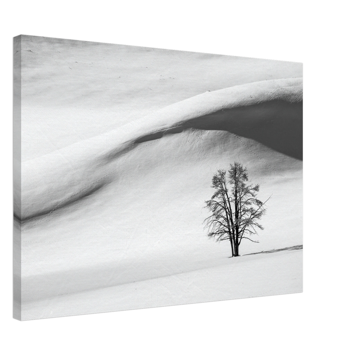 Winter Landscape Wall Art Canvas Print Lone Tree Black White Snow Minimalist Decor #PD_291 product image