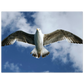 7f8cb920-7638-4dfa-8d50-893ce2a605a4