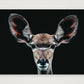 83 — 84×59cm, 33×23" Print only
