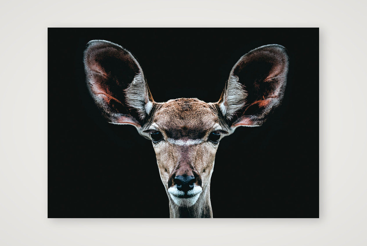 83 — 84×59cm, 33×23" Print only