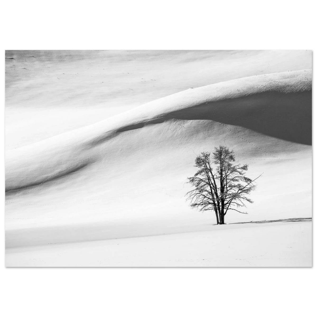 823337ec-18cc-42dd-92fa-247ad0299202