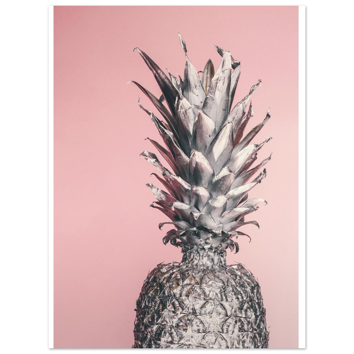 824a5eb3-d1a5-4d5f-8f69-a88fa8a0206f