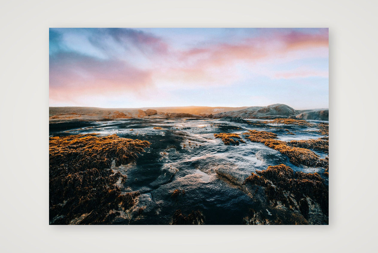 429 — A4 (30×21cm, 12×8") Print only