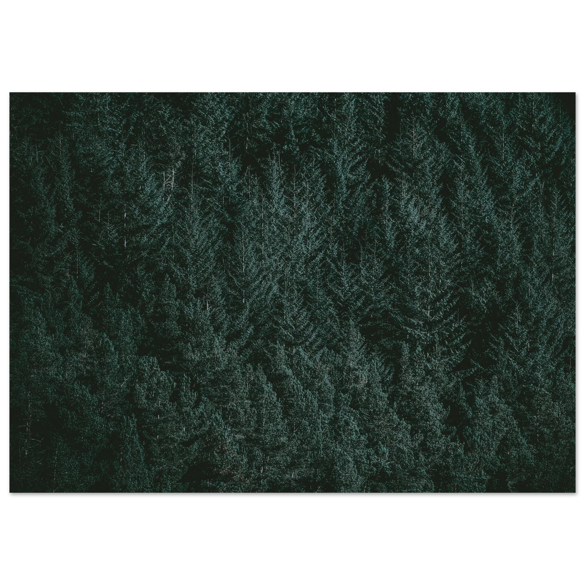 82b0974a-f766-4aac-baea-ef944277bb75