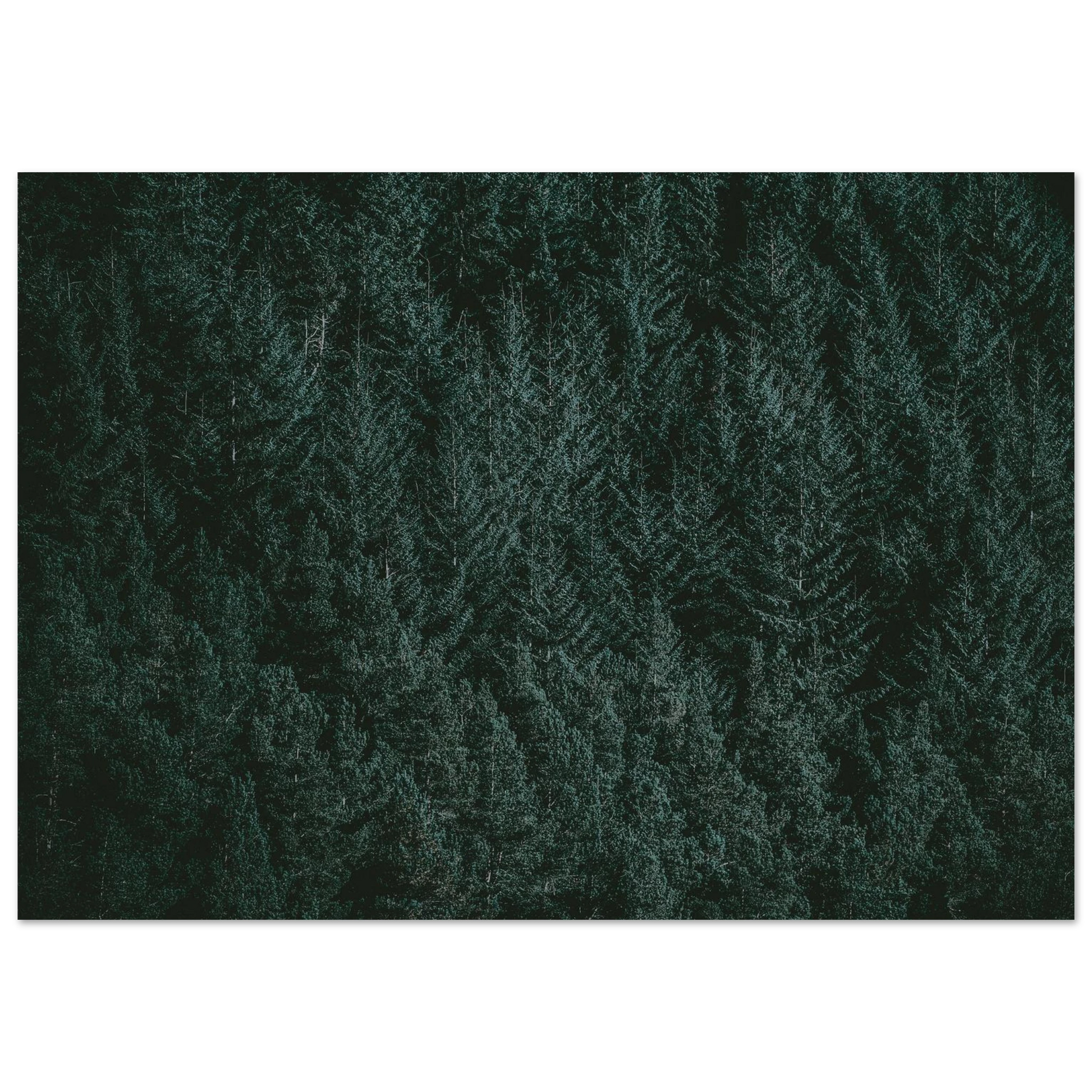 82b0974a-f766-4aac-baea-ef944277bb75