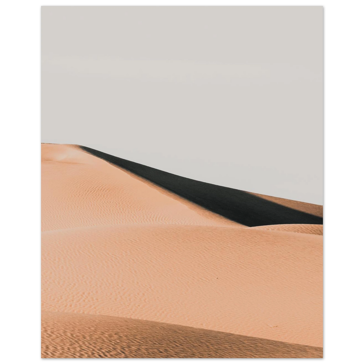 83e948d2-dcda-4ec2-8e08-ab232623a808