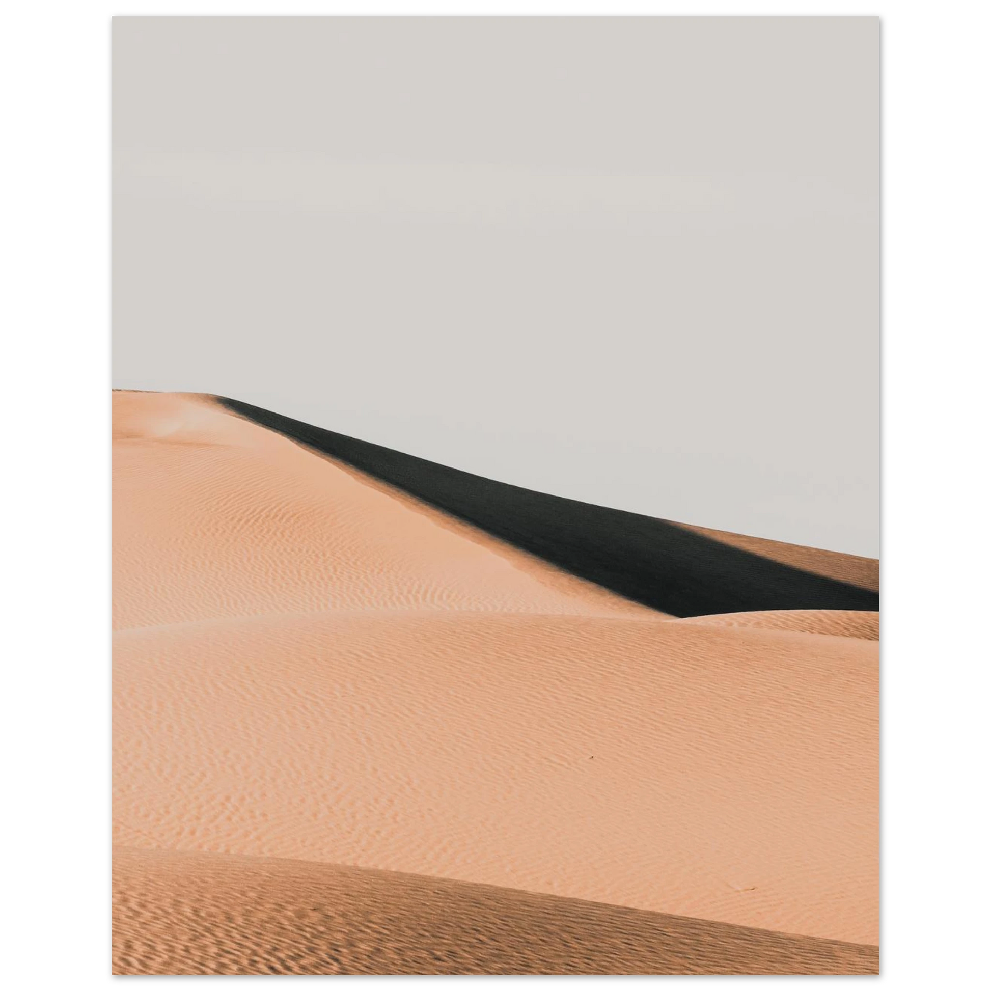 83e948d2-dcda-4ec2-8e08-ab232623a808