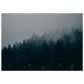 8518bf98-55b8-4c92-9504-5fe7b7698db0