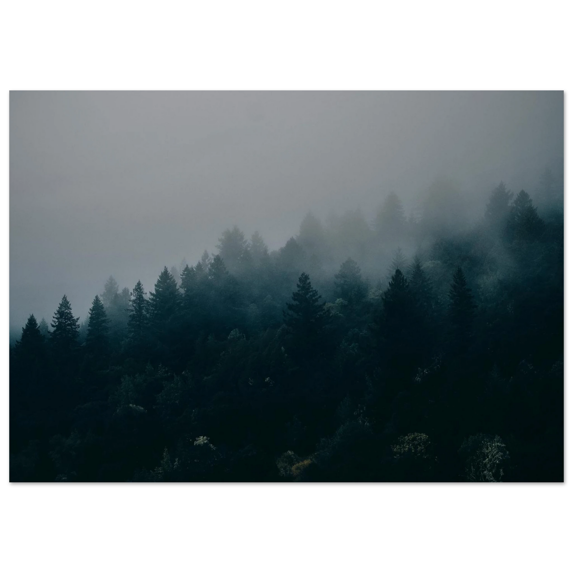 8518bf98-55b8-4c92-9504-5fe7b7698db0