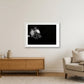 51 — 84×59cm, 33×23" White Frame