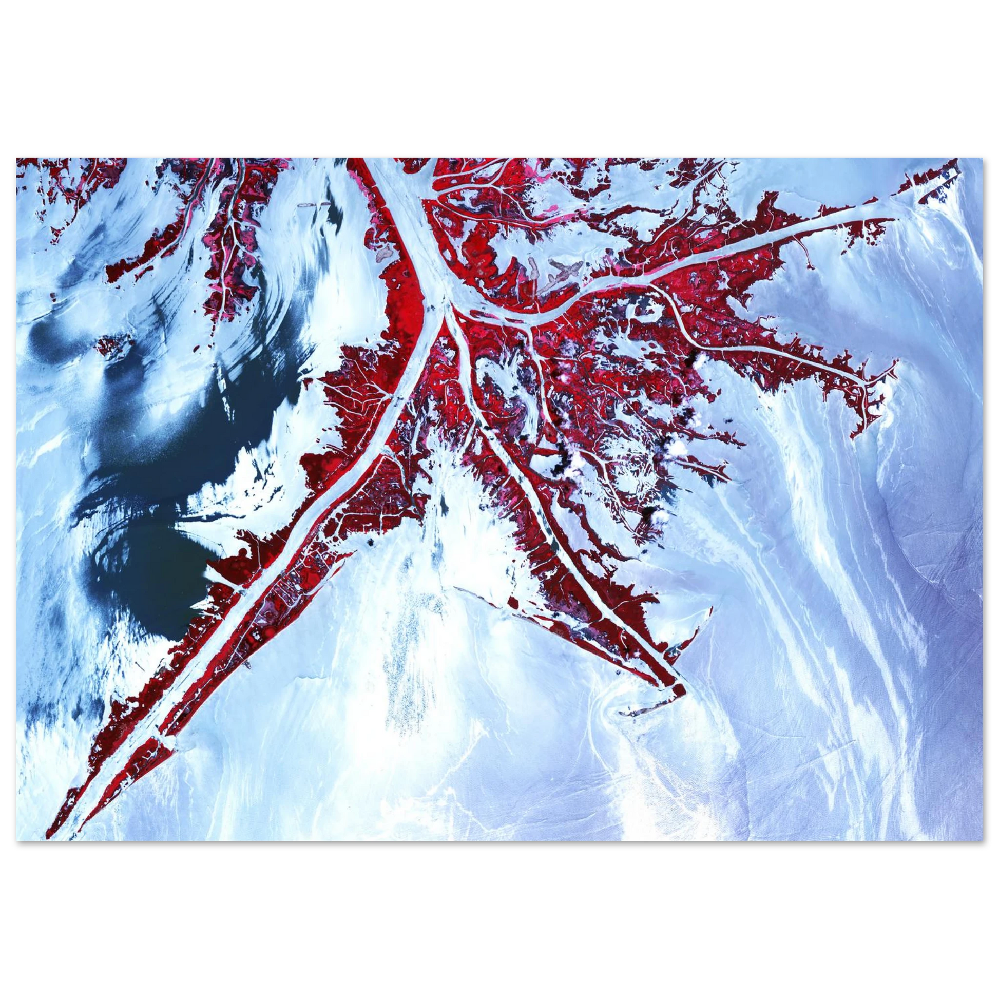 8529349f-b380-4ad4-93e1-e0aa931ef537