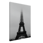87c0b504-2d82-4262-be5a-abbdaea3948e