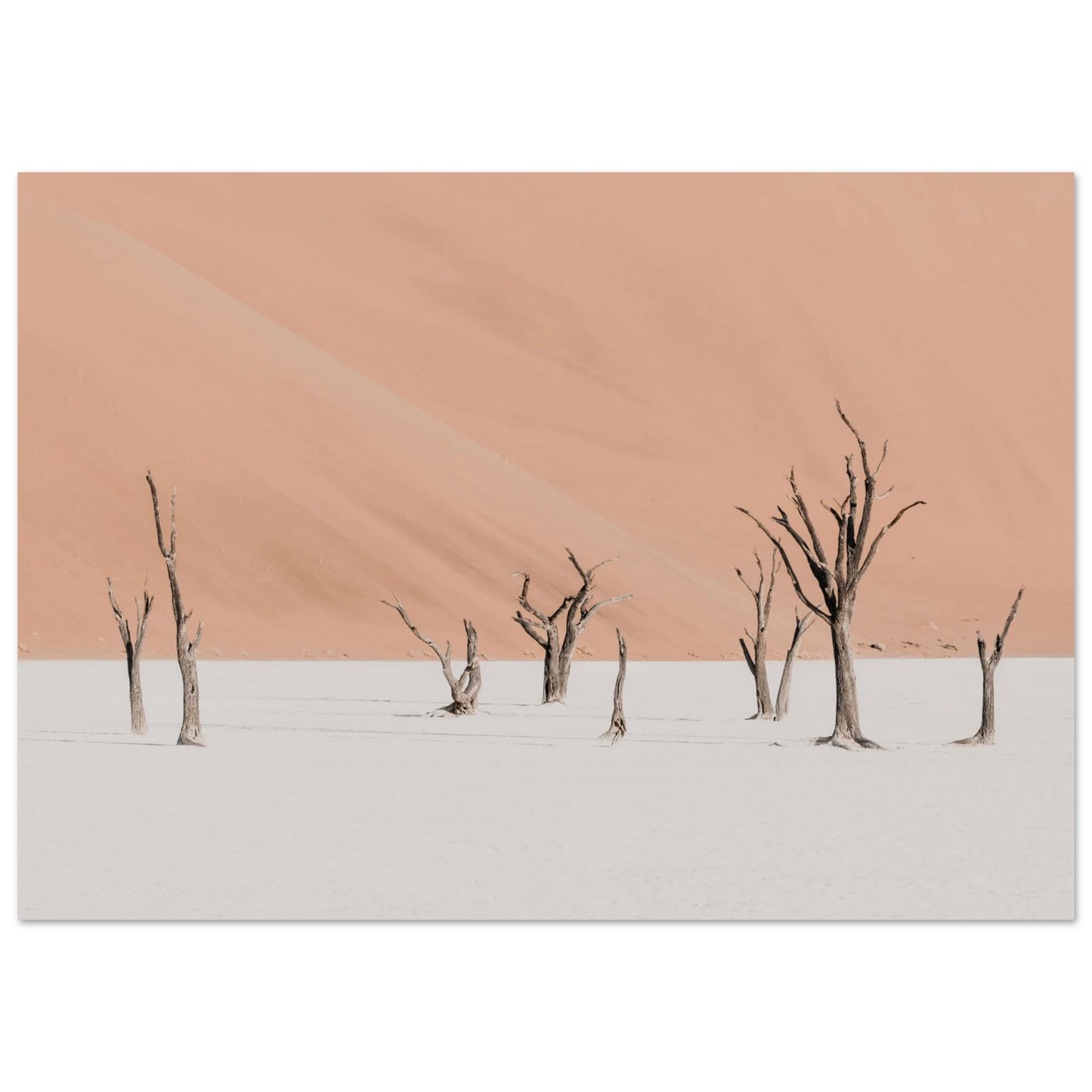 8805f087-ba15-41b6-a094-7790c031d596