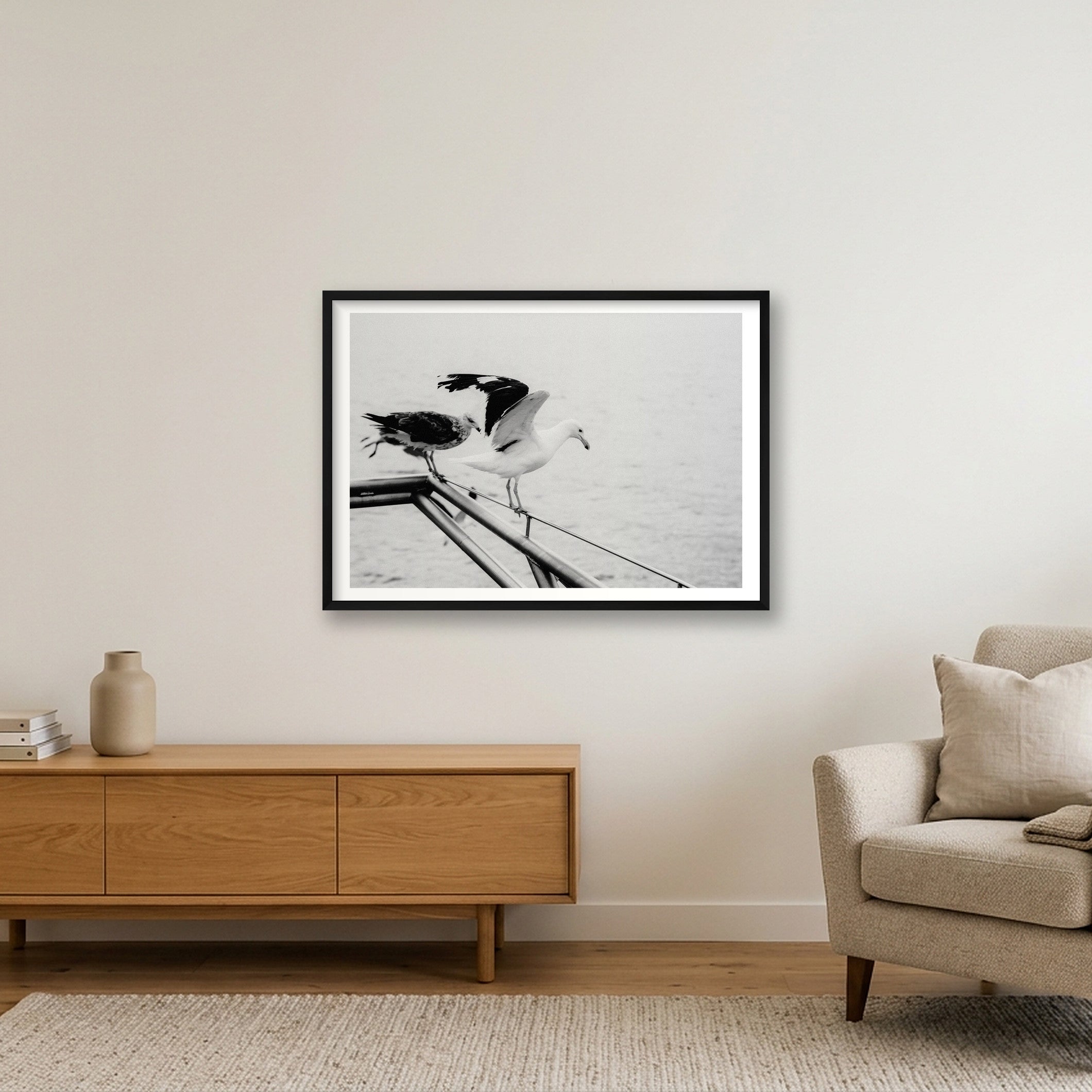Seagull fine art photograph Gansbaai South Africa Black, print #494 by Kzara Visual