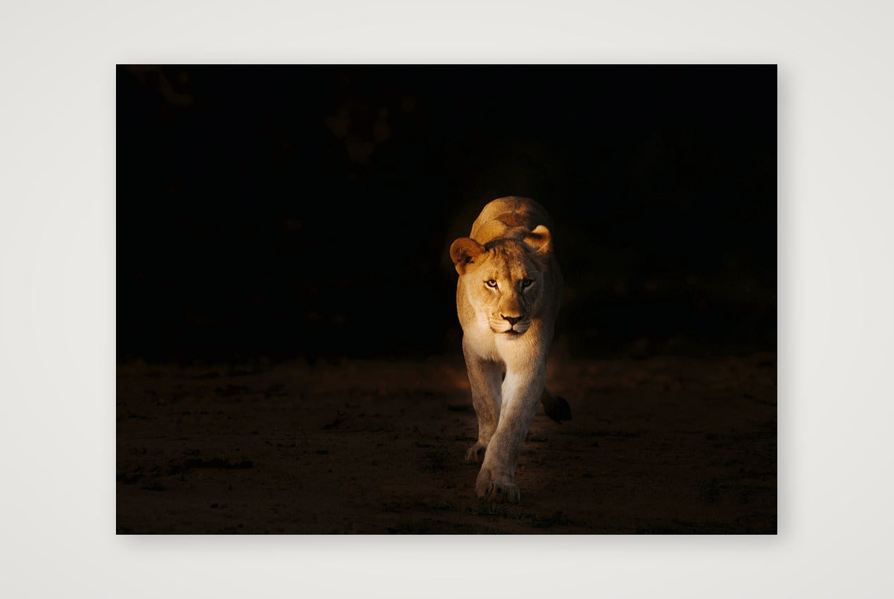 416 — 59×42cm, 23×17" Print only