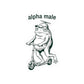 Funny Frog Sticker Gift For Dad Alpha Male Meme Decal Gift For Male Friend Cute Frog on Scooter Laptop Sticker Sarcastic Humor Gift Friend