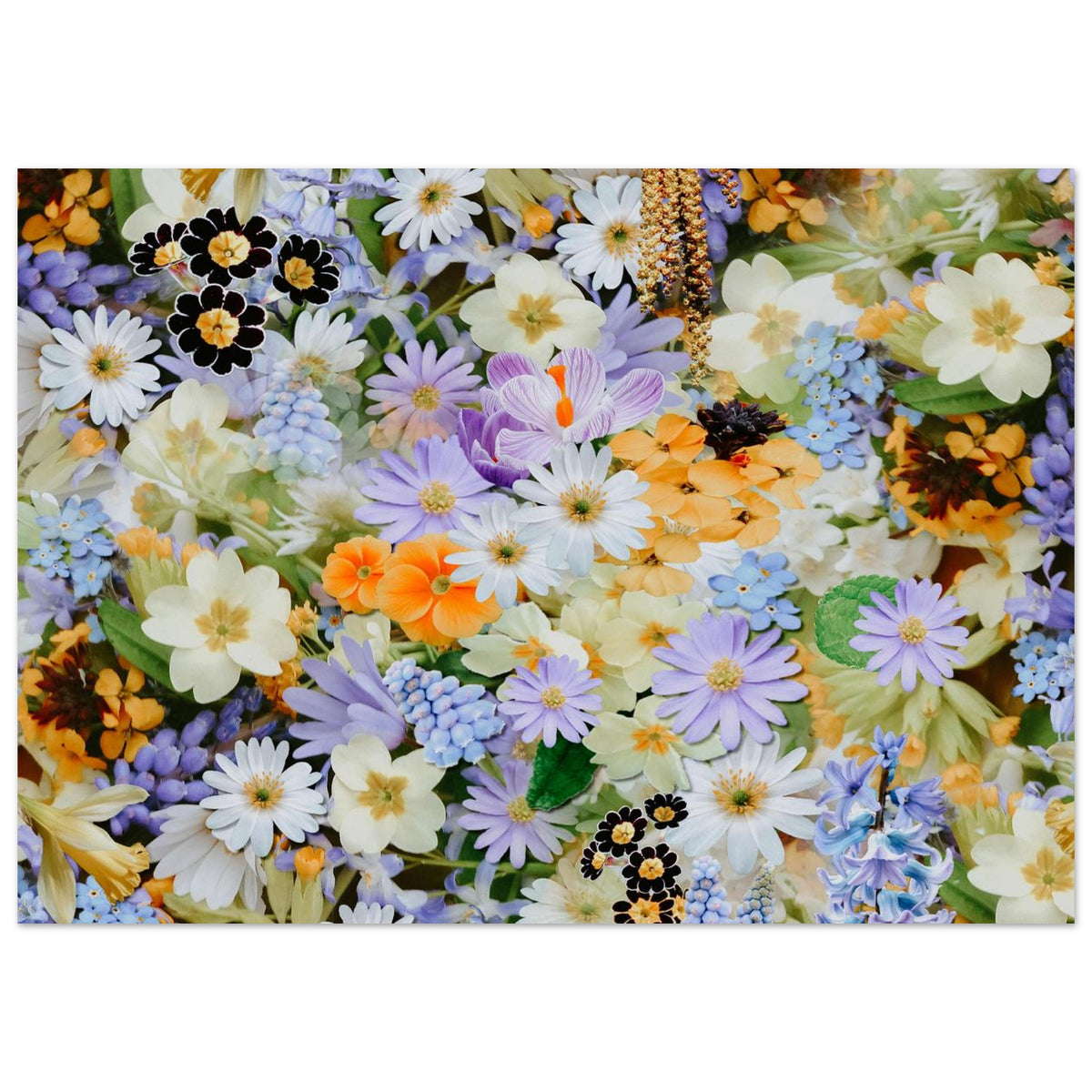 Spring Floral Meadow Wall Art foam board wall art print for modern home decor by Kzara Visual