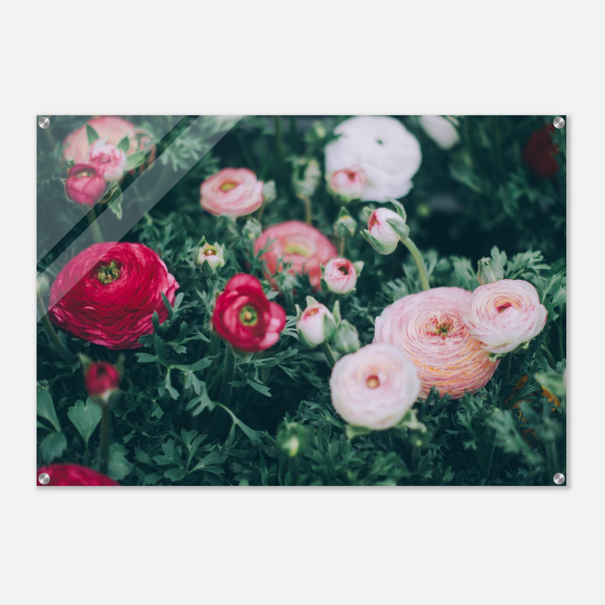 8a6446ba-7555-46fb-a96e-c64feac1b0d8