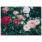 8ae63788-1bf6-45a5-a980-916811bcb4aa