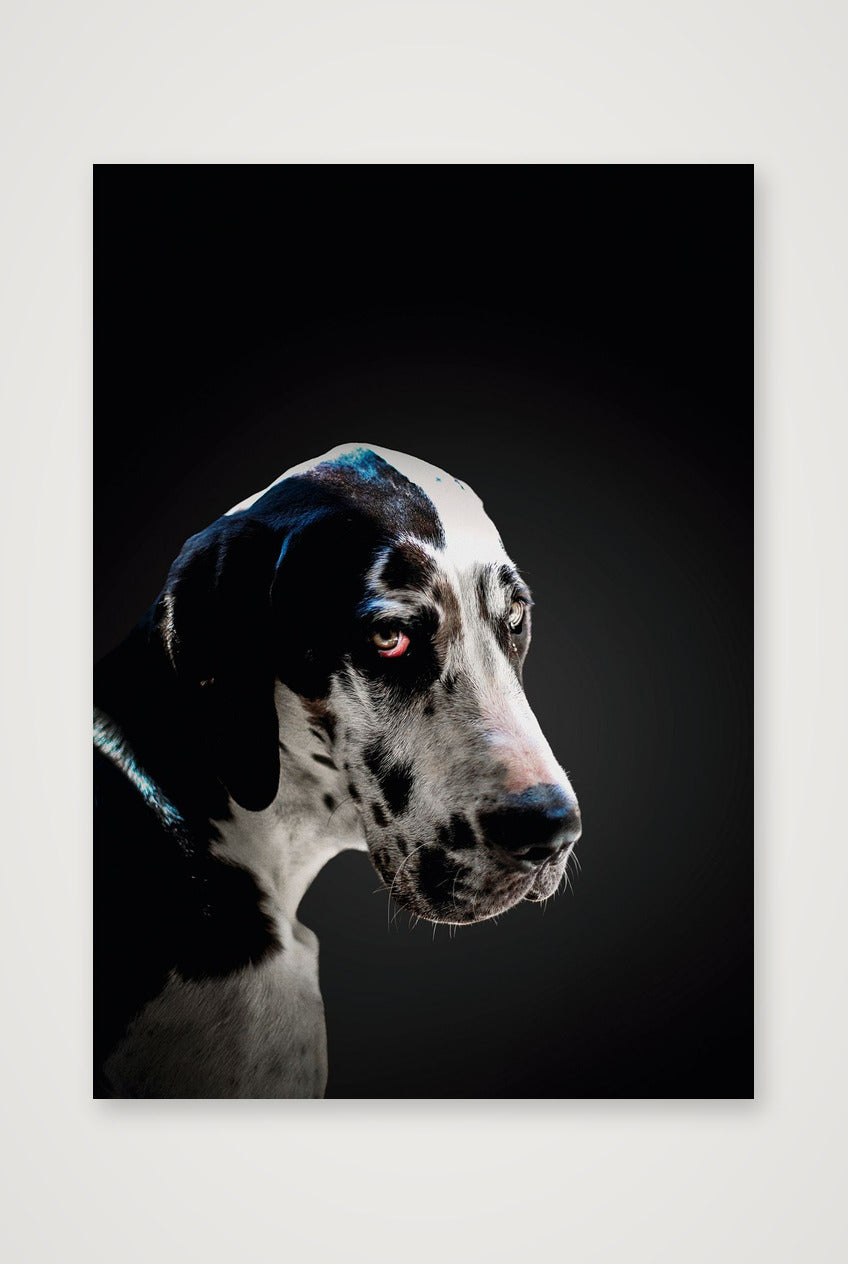 489 — A3 (30×42cm, 12×17") Print only