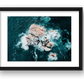 156 — framed