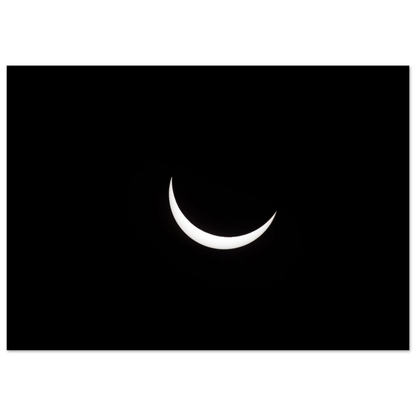 8c01f14a-2447-488d-8609-3e60590dd75e