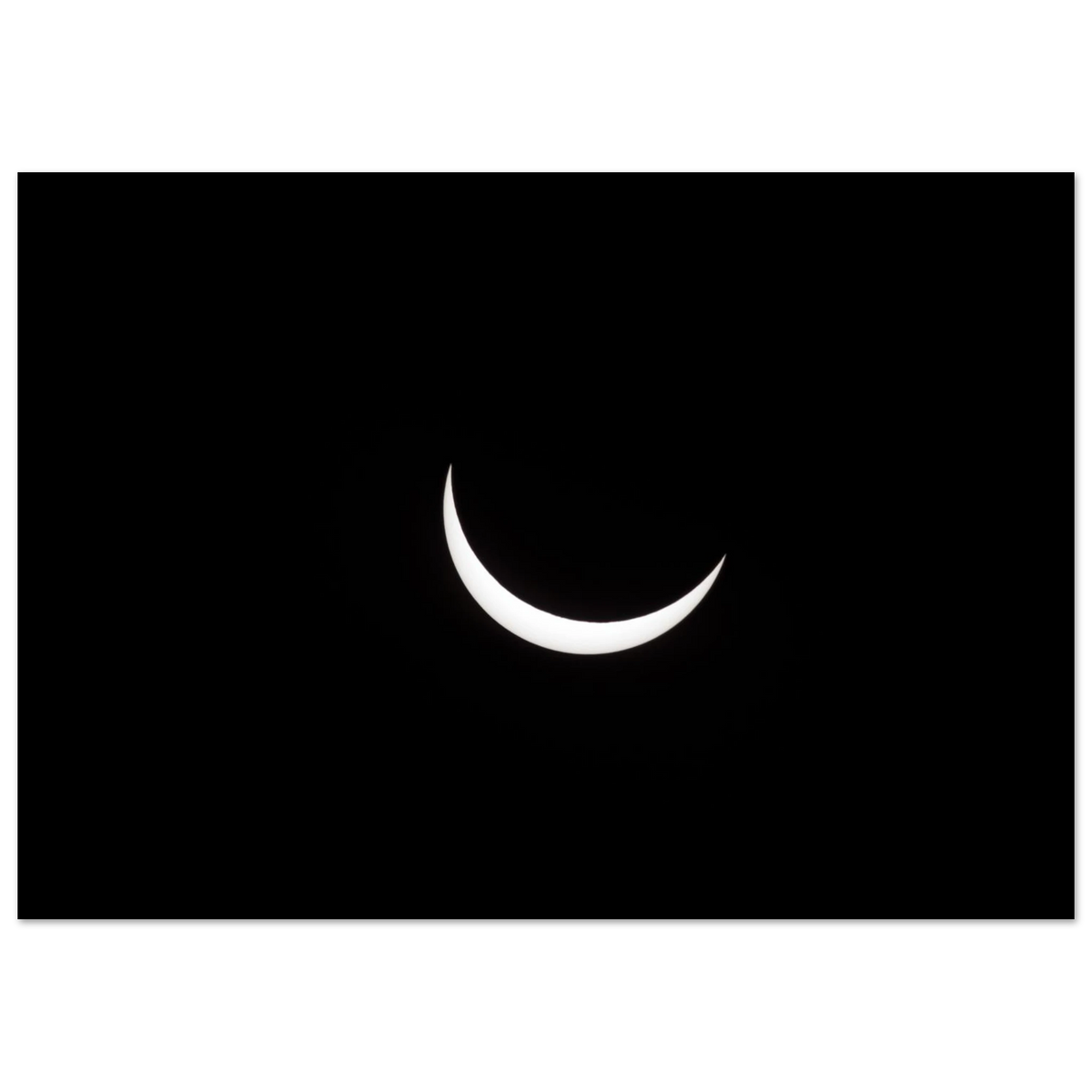 8c01f14a-2447-488d-8609-3e60590dd75e
