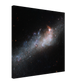 8e57e715-9576-421d-a5e7-275cf17121de