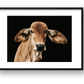 1371 — framed