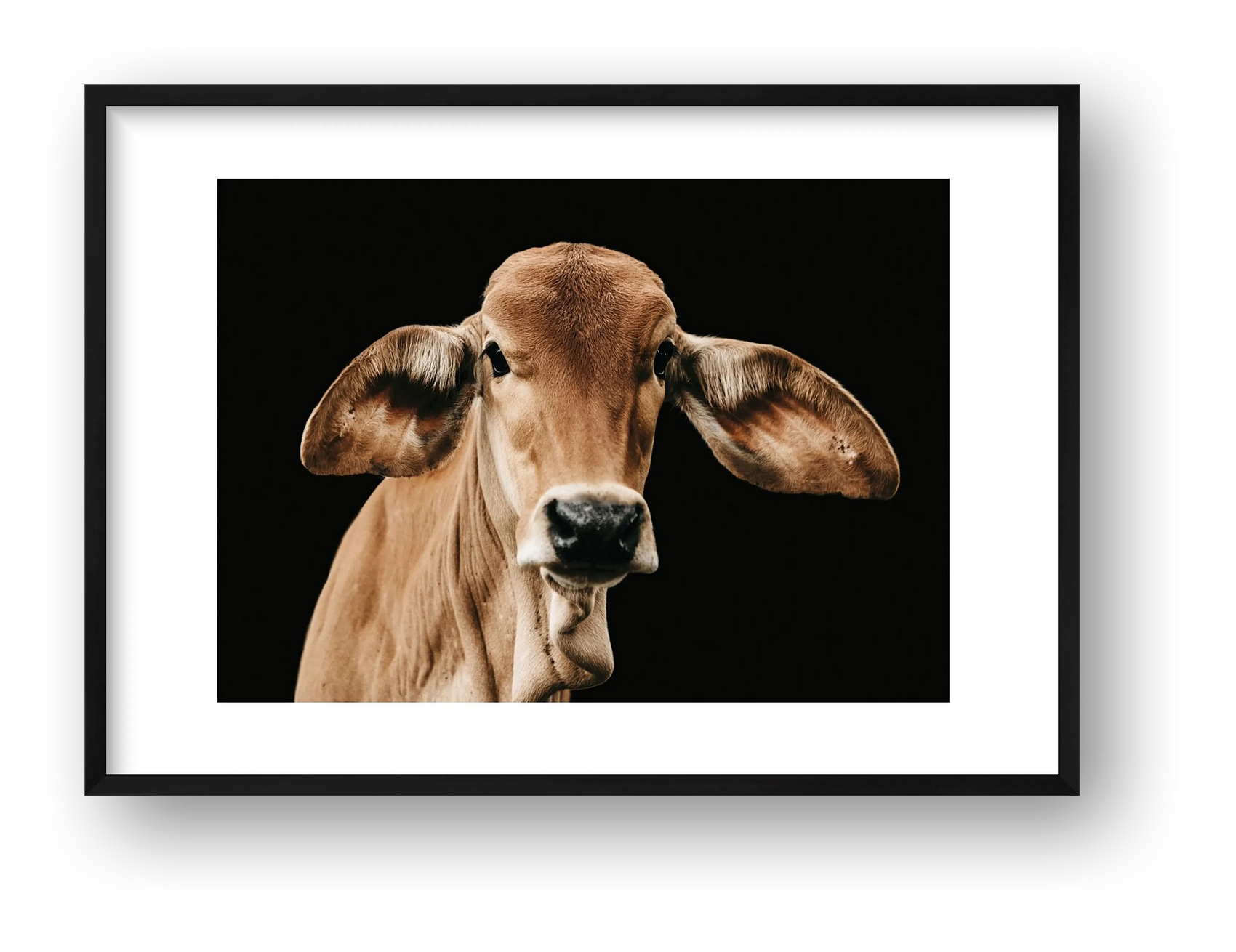 1371 — framed