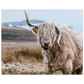 8f4e8281-9b13-4045-82ac-4075b4722bfe