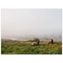 8fb479b8-1509-4f0f-9bb0-409f6938ca60
