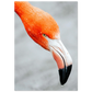 90ab6818-5bdf-4628-af11-81533b32246d