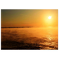 90ac0de7-3e93-4b48-80fc-2b8755d6299d