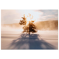 91c3ef69-4159-4418-9cd2-b8c1ba75f6af