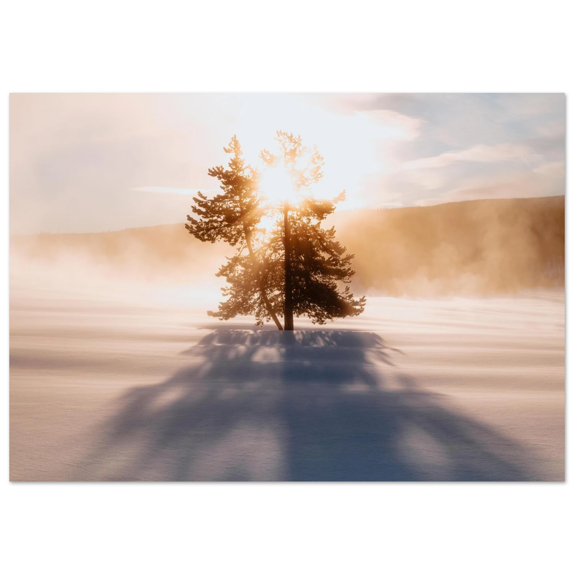 91c3ef69-4159-4418-9cd2-b8c1ba75f6af