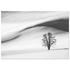 9280d3b9-4081-4b6a-ac14-3225fc2ed638