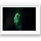 498 — framed