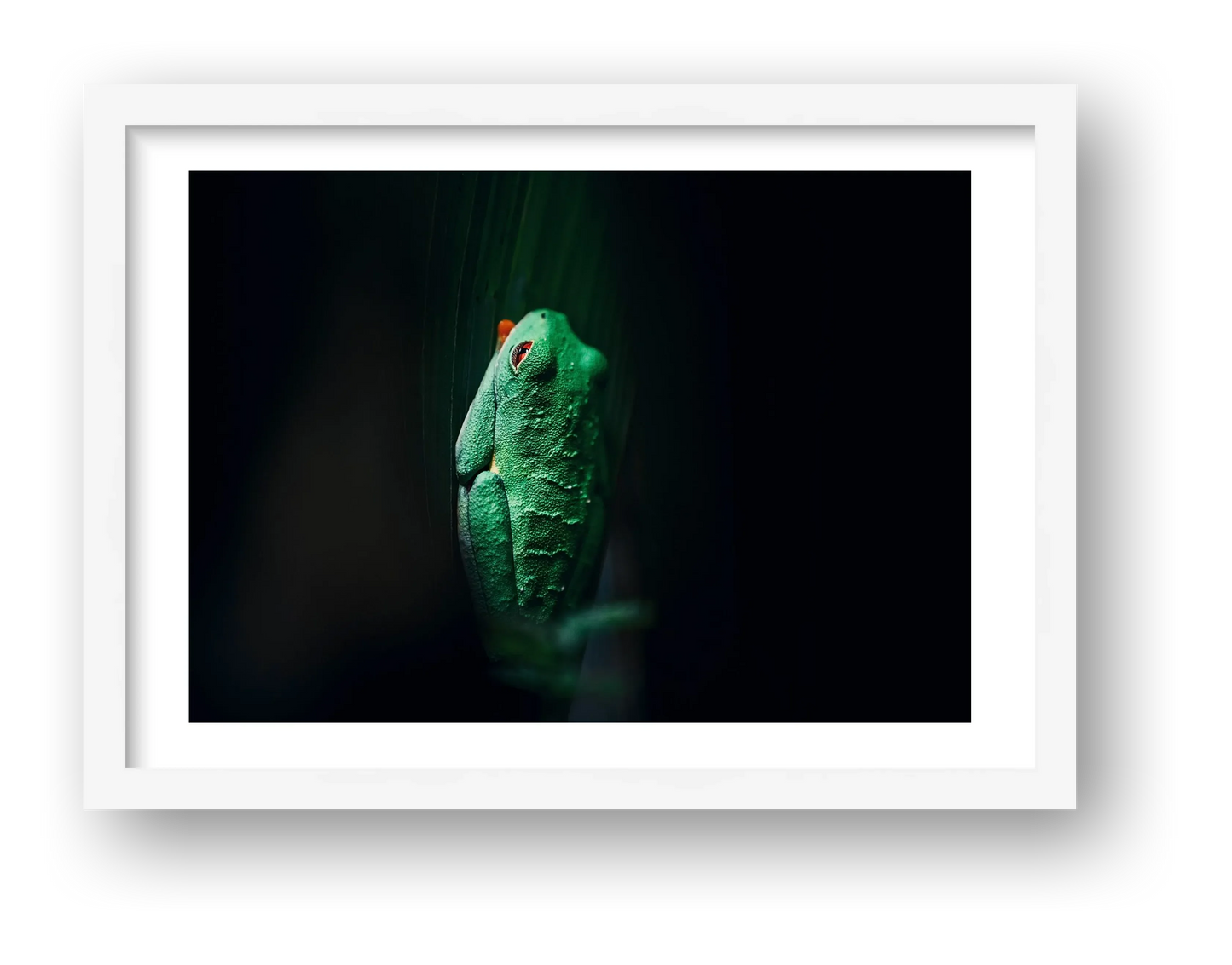 498 — framed