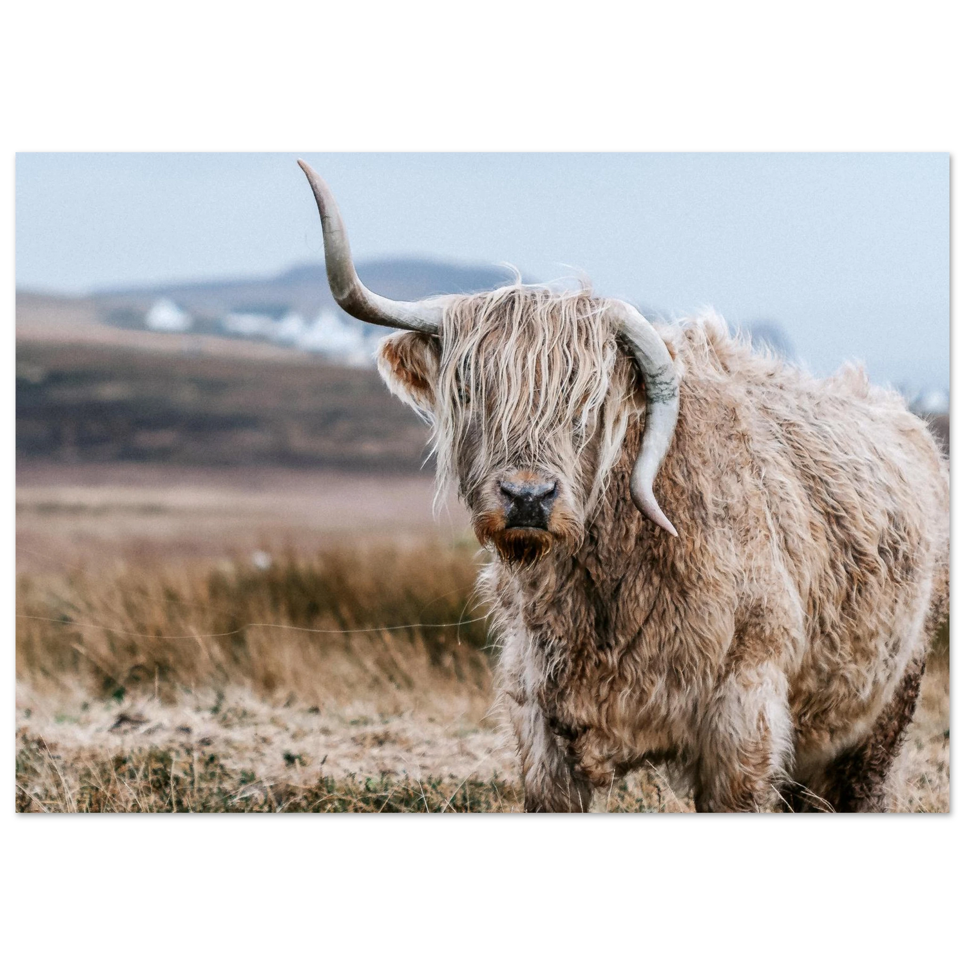 9334aefb-2b76-4a7d-98d6-a8b921f819e4