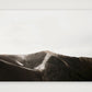 1289 — 84×59cm, 33×23" Print only