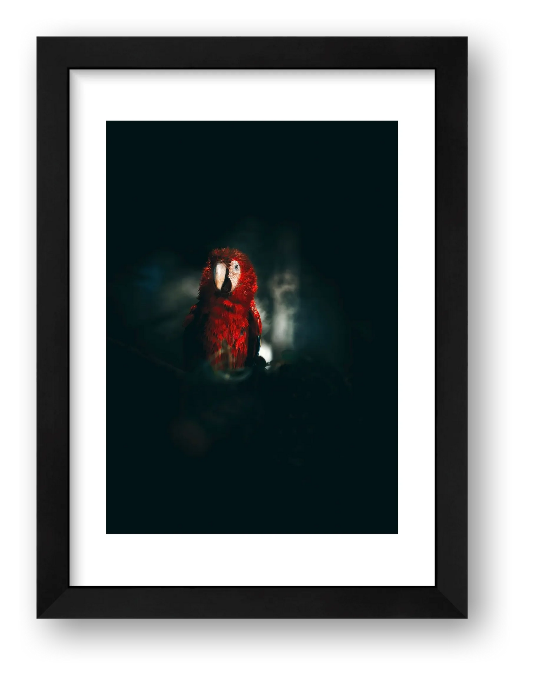 1812 — framed