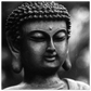 94955d12-550b-4cc1-98bc-f3952e8492ed