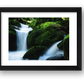 40 — framed