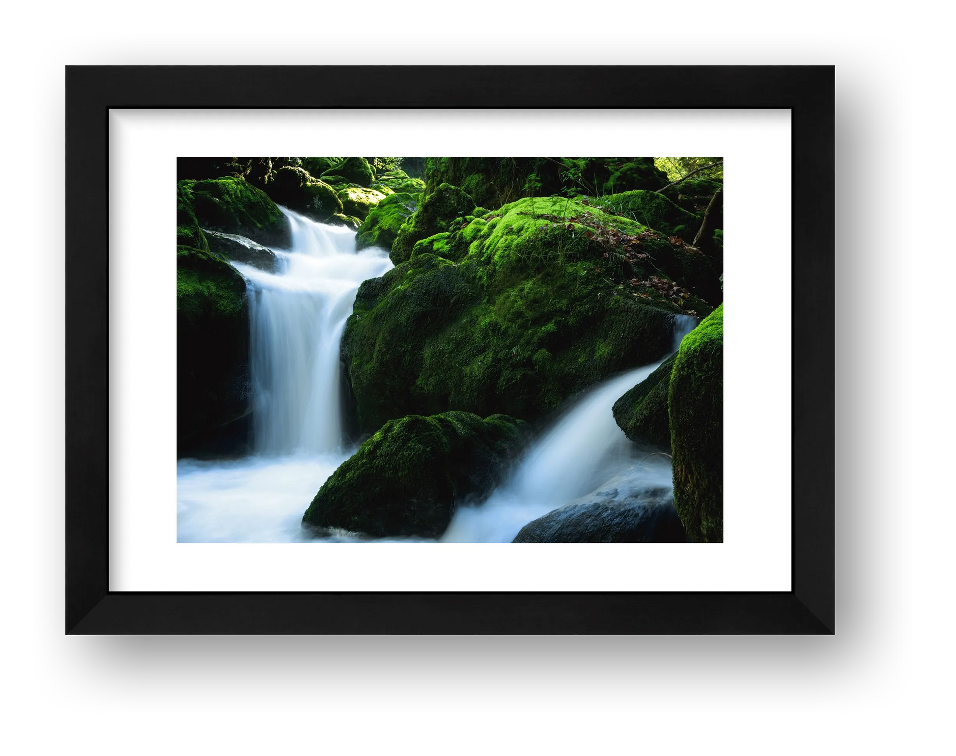 40 — framed