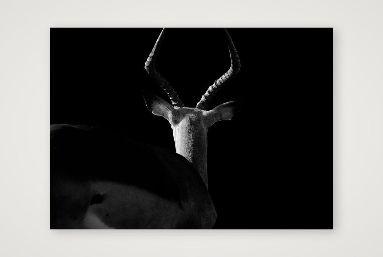 121 — 59×42cm, 23×17" Print only