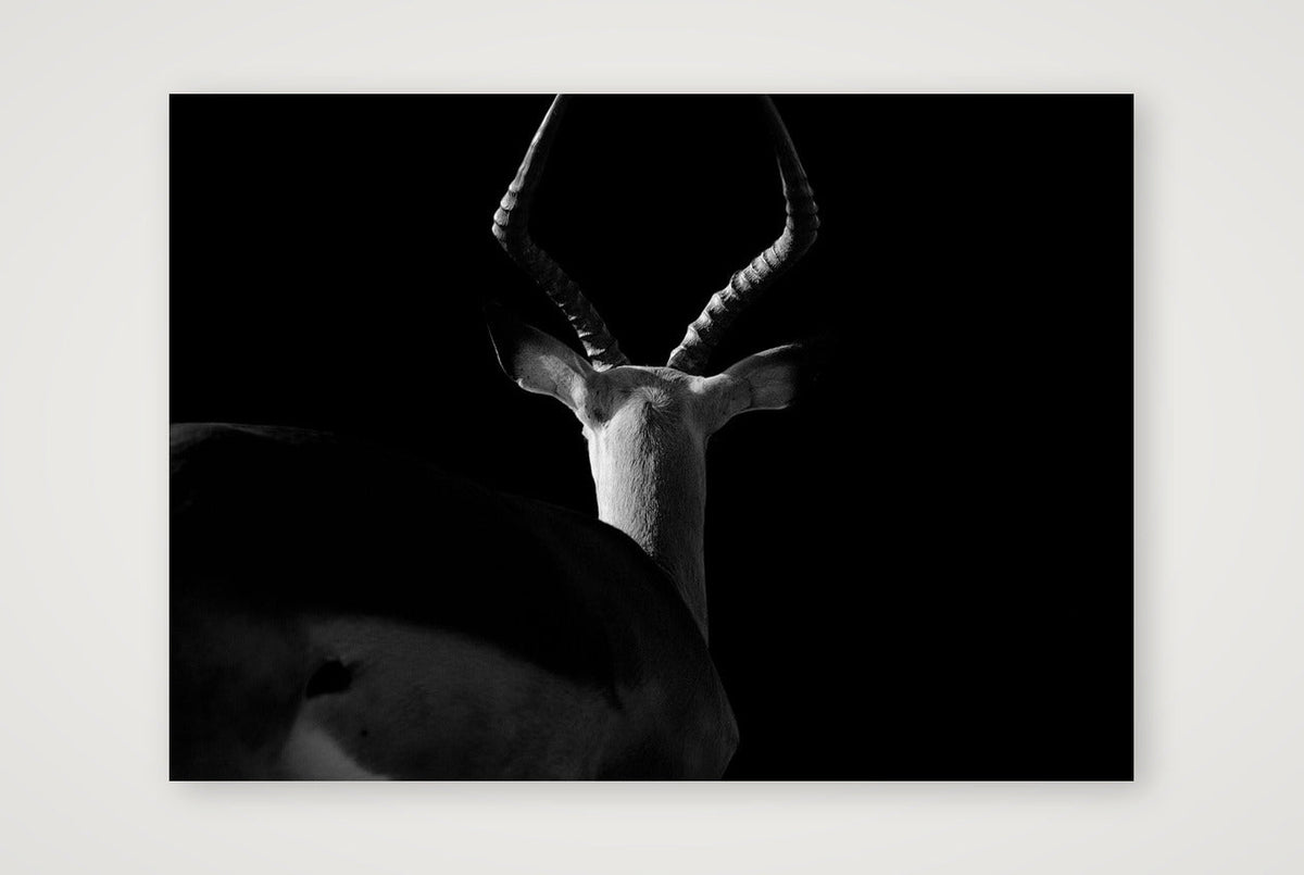 121 — 59×42cm, 23×17" Print only